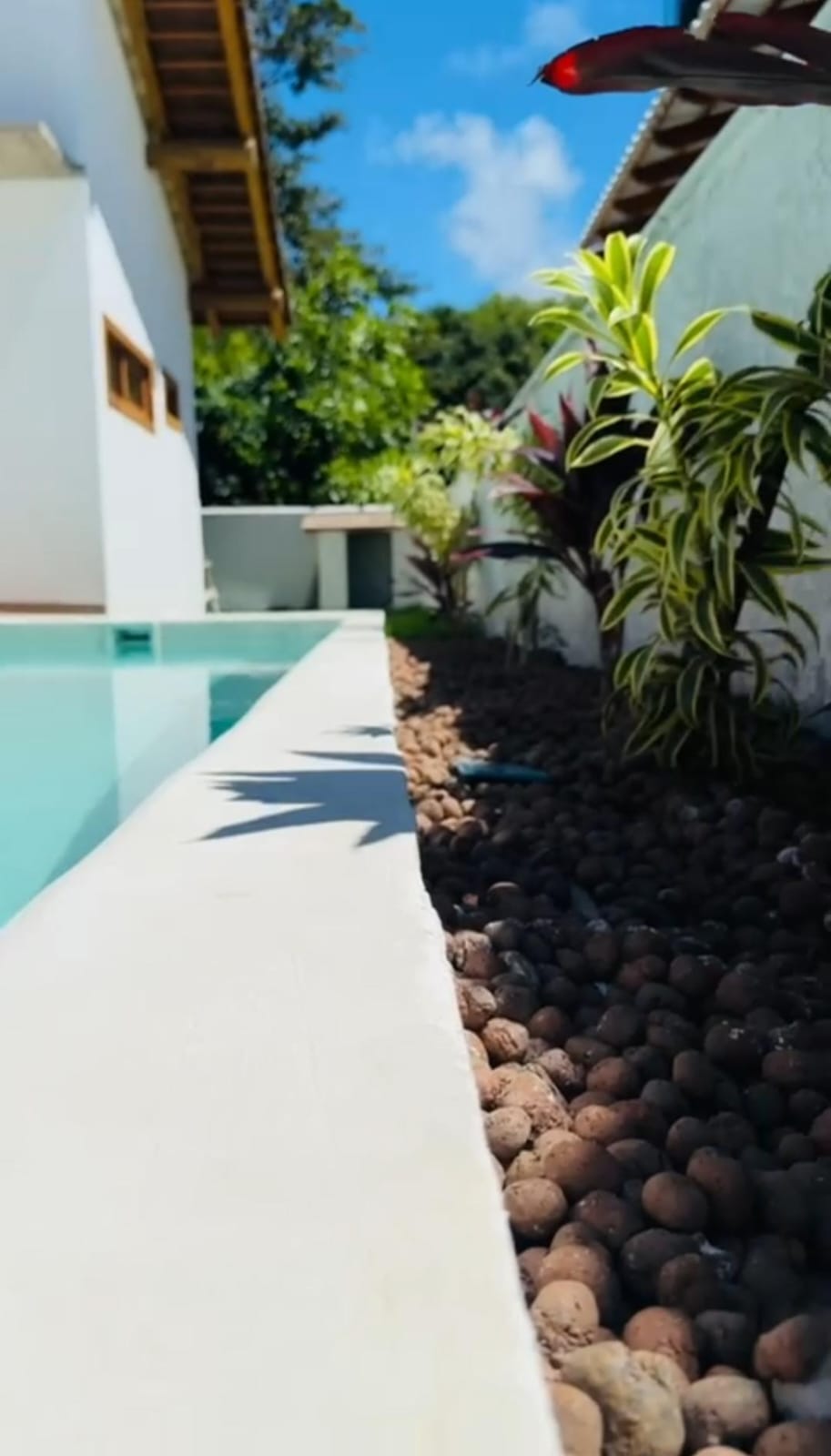 WhatsApp Image 2025-11-04 at 16.38.24