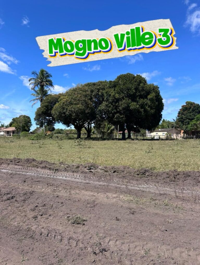 WhatsApp Image 2025-11-09 at 14.32.17 (1)