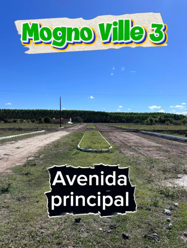 WhatsApp Image 2025-11-09 at 14.32.17 (2)