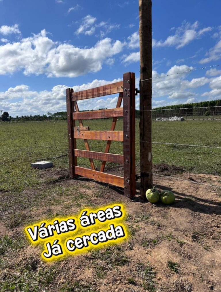 WhatsApp Image 2025-11-09 at 14.32.17 (4)