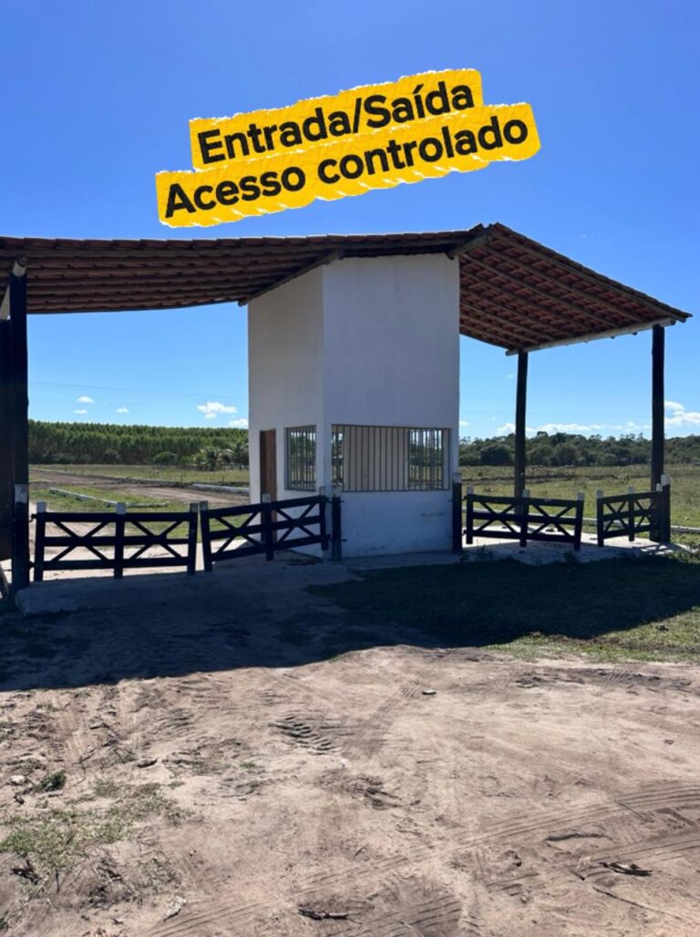 WhatsApp Image 2025-11-09 at 14.32.17