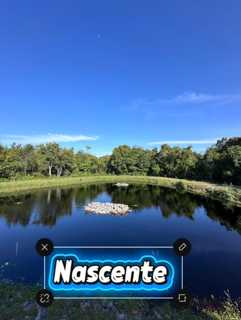 WhatsApp Image 2025-11-09 at 14.32.18 (1)