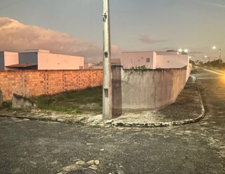 WhatsApp Image 2025-11-21 at 10.52.09